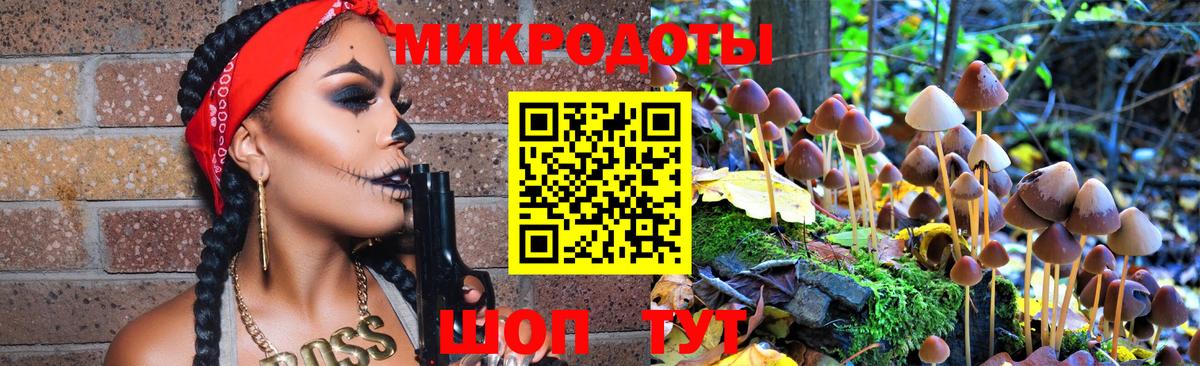 Псилоцибиновые грибы Psilocybe Кандалакша