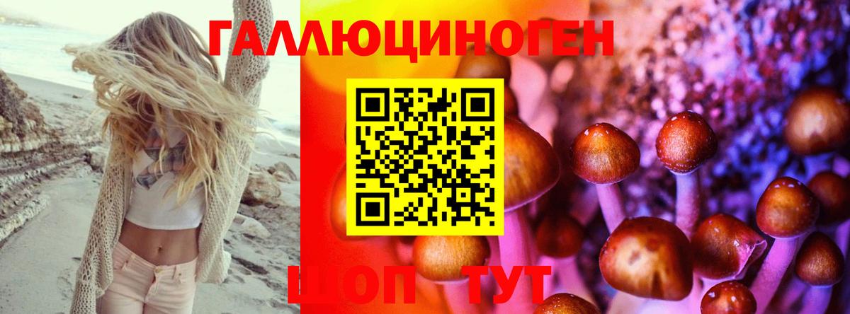 где можно купить   Вход с VPN  Кандалакша  Псилоцибиновые грибы MAGIC MUSHROOMS 